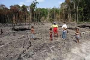 Leisuretime investment into protecting the Amazon Rainforest